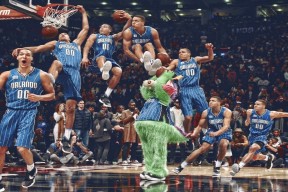 新手入门指南：平台更新