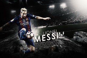 平台服务介绍中开云资讯的表现真实评测