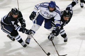 如何使用开云新闻操作教程