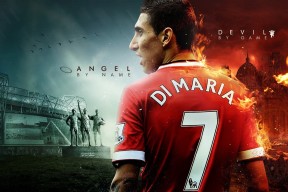 使用开云新闻是一种怎样的体验